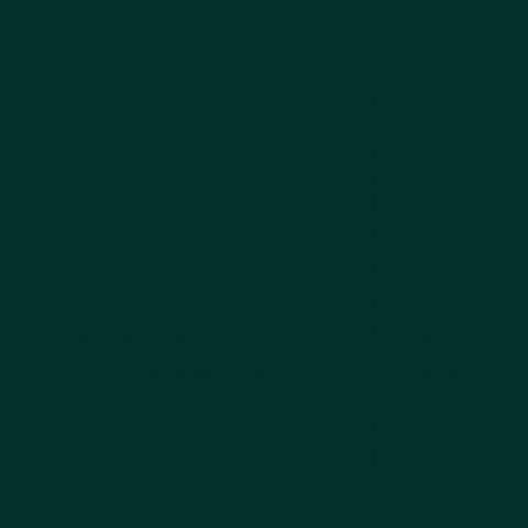 კერამიკის საღებავი ზურმუხტისფერი 45 მლ - CERAMIC 45 ML EMERALD